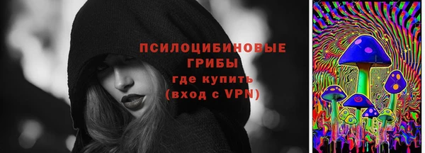 бошки Вяземский