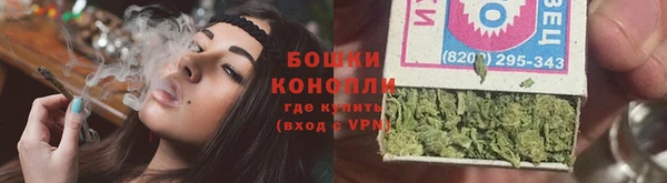 прущие грибы Снежногорск
